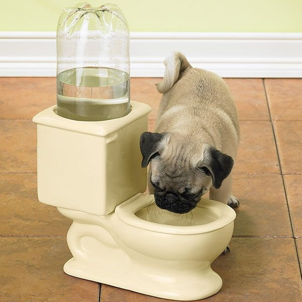 Джаджа за лесно дозиране на вода за кучета