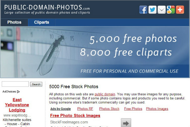 Сайт за безплатни фотографии 4