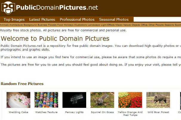 Разгледайте сайта PublicDomainPictures Сайт за безплатни фотографии 5