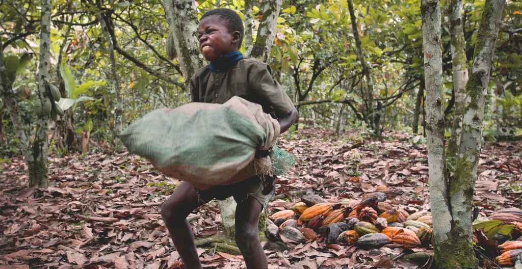 Детски труд във ферма за какао